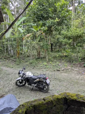 রানার নাইট রাইডার ভি২ ২০১৮ সাদা