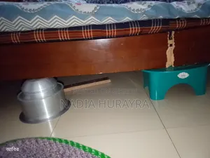 Broken Bed for Sale, with Mattress and Quilt.