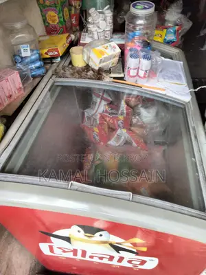 ২৭০ লিটার আইসক্রিম ডিপ ফ্রিজ