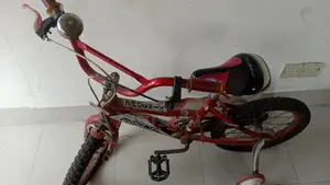ফনিক্স বাইসাইকেল চাকার সাইজ ১৬ ইঞ্চি