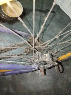Used Cycle
