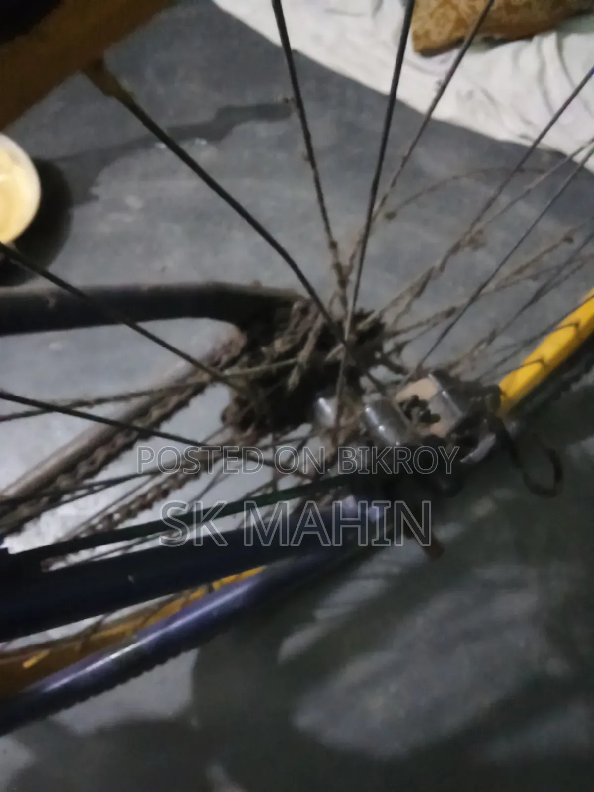 Used Cycle