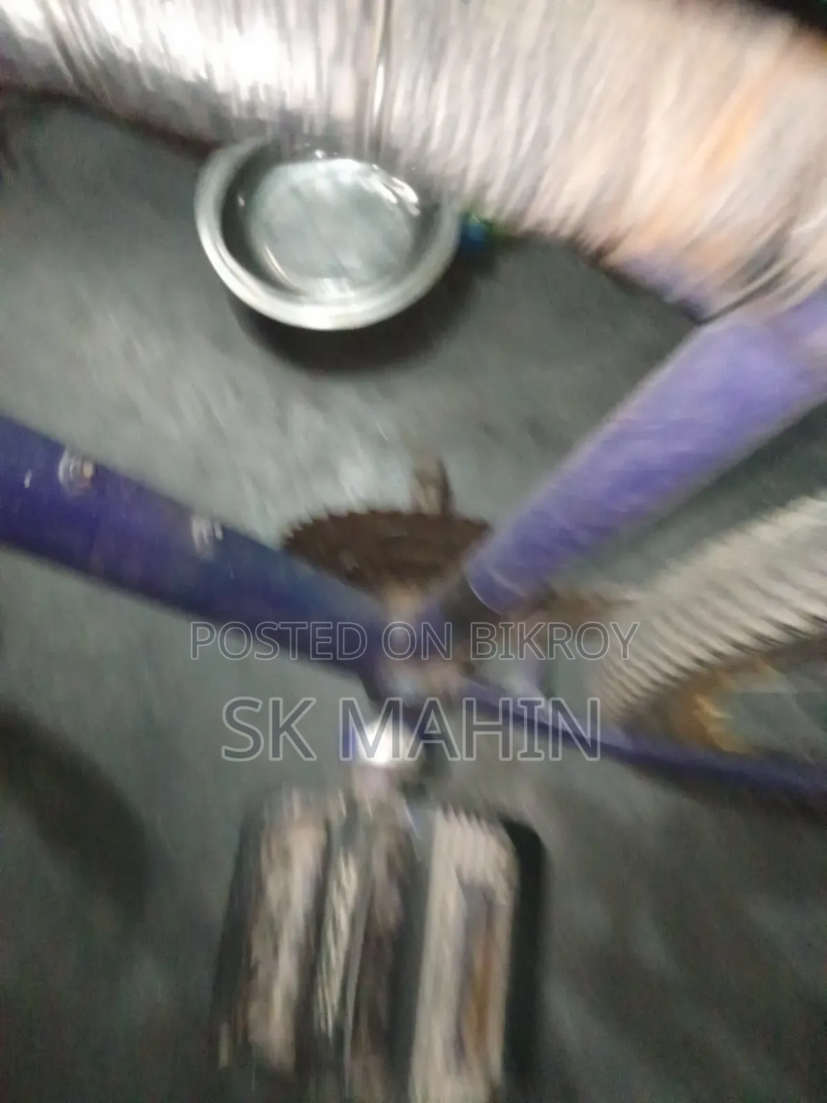 Used Cycle