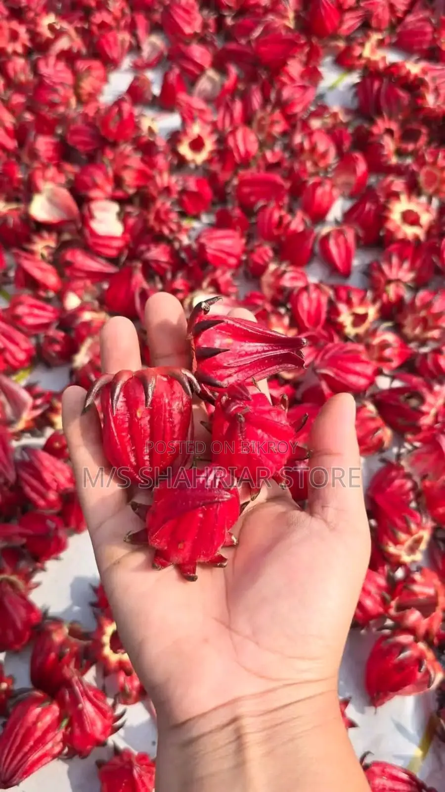 প্রিমিয়াম রোজেলা চা / Premium Roselle Tea