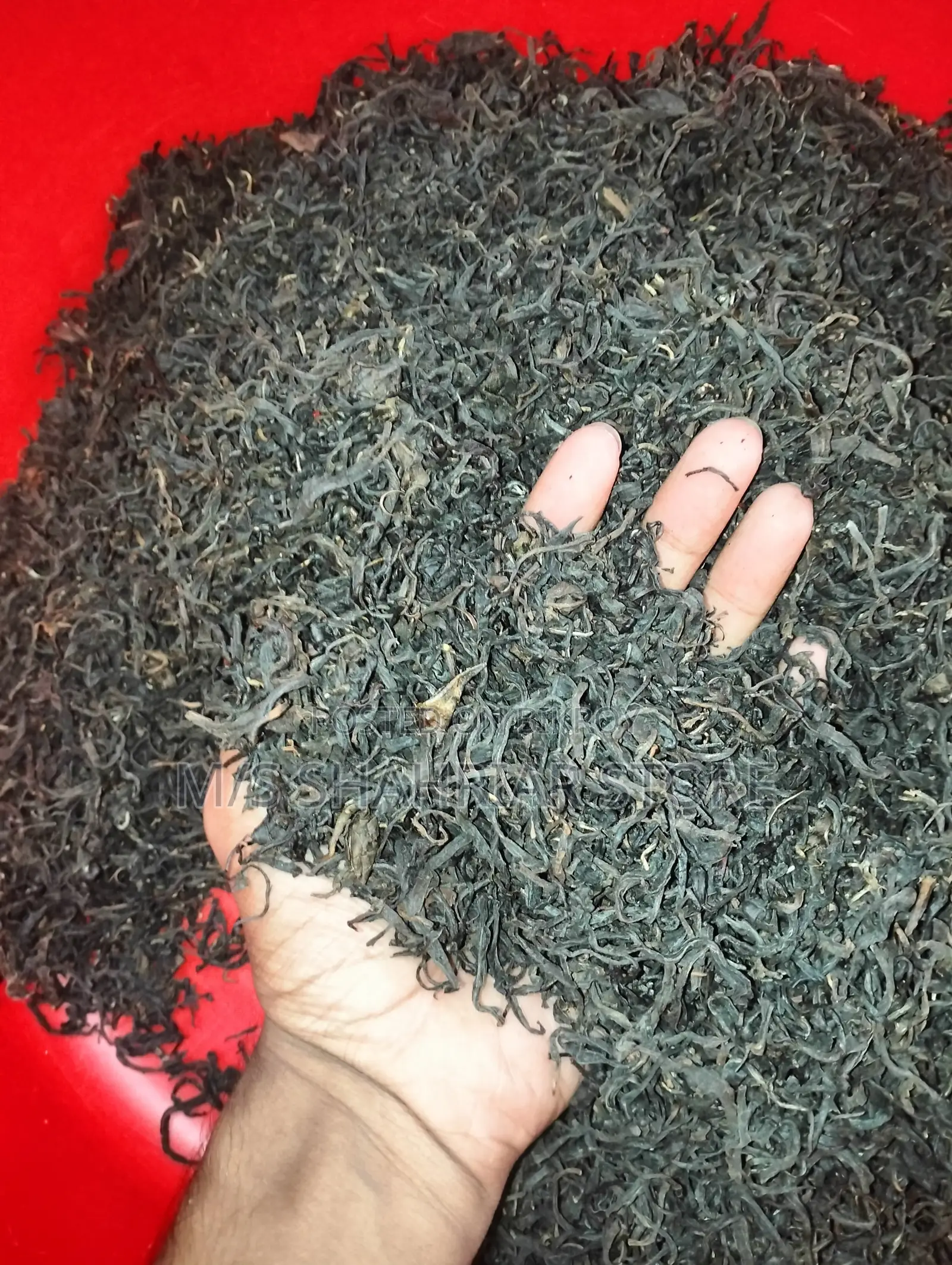 Organic Green Tea