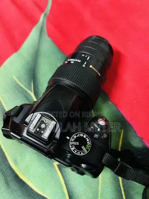 Nikon D3300 With Kit and Zoom Lens