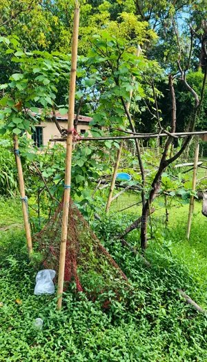 উত্তর কাট্টলী, কমিউনিটি সেন্টার সংলগ্ন ৪ গন্ডা জায়গা বিক্রয়