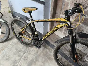 Phoenix Bicycle
