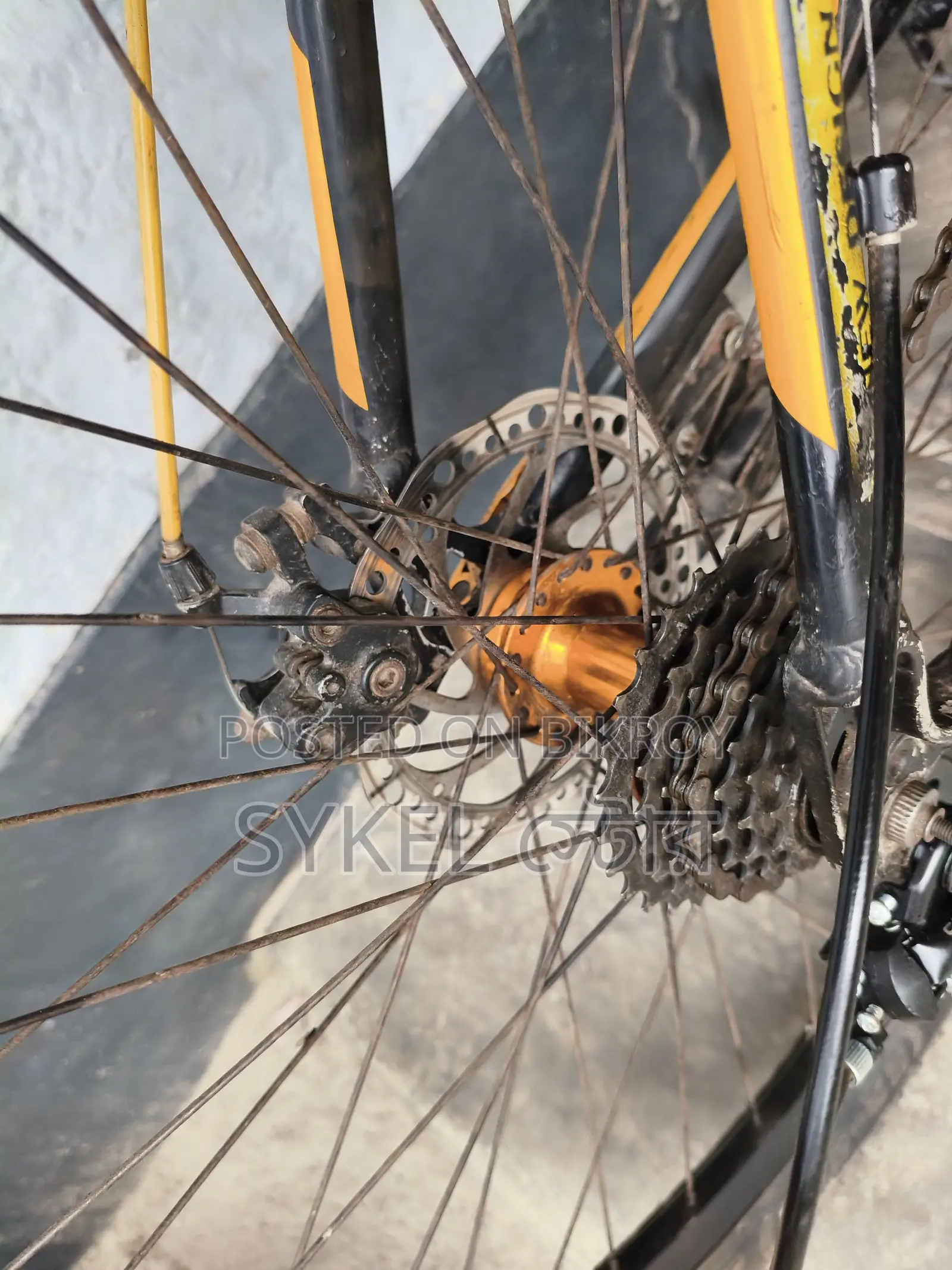 Phoenix Bicycle