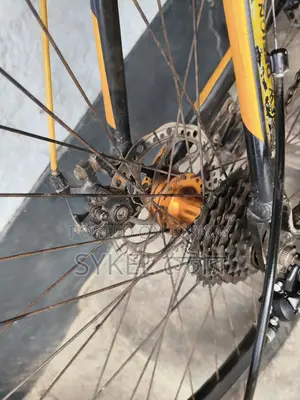 Phoenix Bicycle