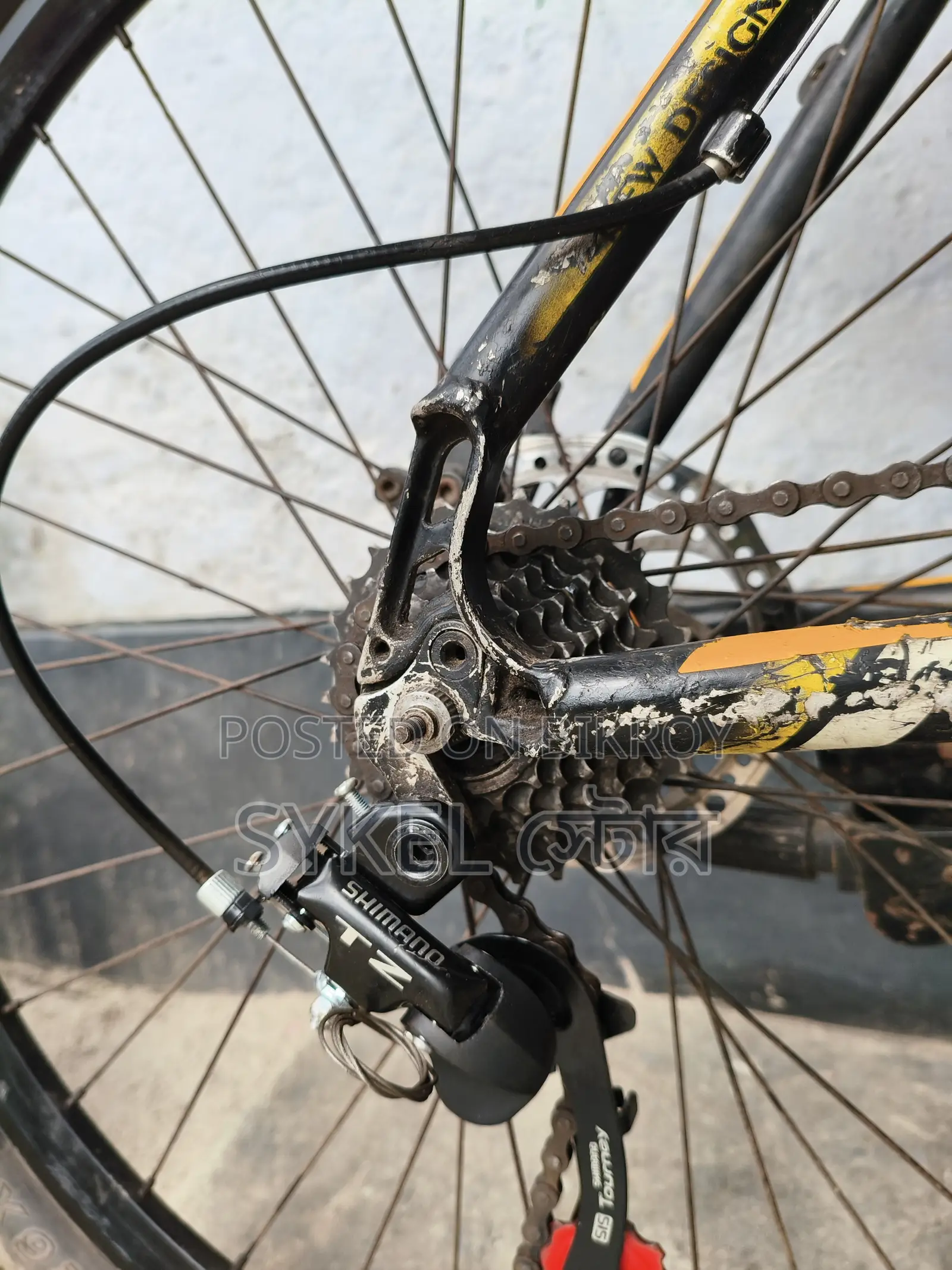 Phoenix Bicycle