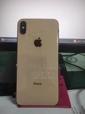 অ্যাপল আইফোন এক্সএস ম্যাক্স ২৫৬ জিবি গোল্ড