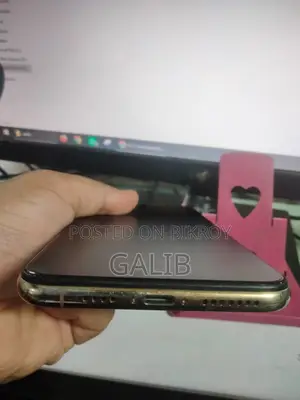 অ্যাপল আইফোন এক্সএস ম্যাক্স ২৫৬ জিবি গোল্ড