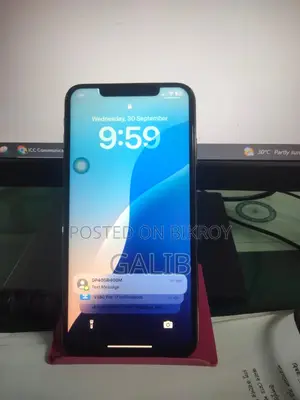 অ্যাপল আইফোন এক্সএস ম্যাক্স ২৫৬ জিবি গোল্ড