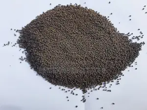 Modhupur Special Chapata (First Flush)