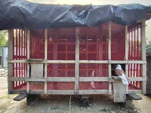 কবুতর ঘর ৪০ খোপ এর