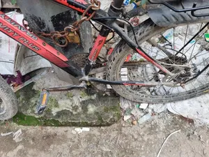 দুরন্ত গ্র্যাভিটি প্লাস এক্স৩০০