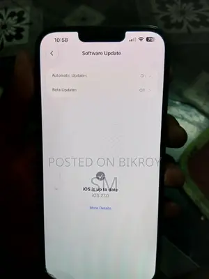 অ্যাপল আইফোন ১৩ প্রো ম্যাক্স ২৫৬ জিবি ব্লু