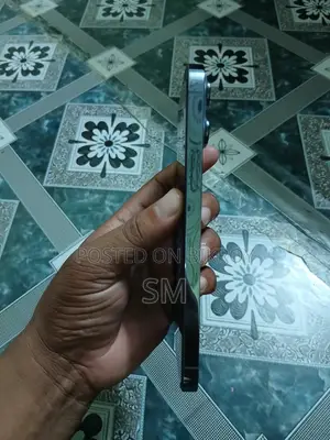 অ্যাপল আইফোন ১৩ প্রো ম্যাক্স ২৫৬ জিবি ব্লু