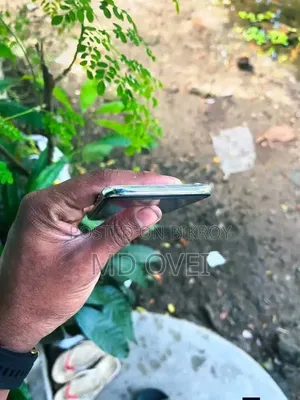 অ্যাপল আইফোন এক্স ২৫৬ জিবি সিলভার