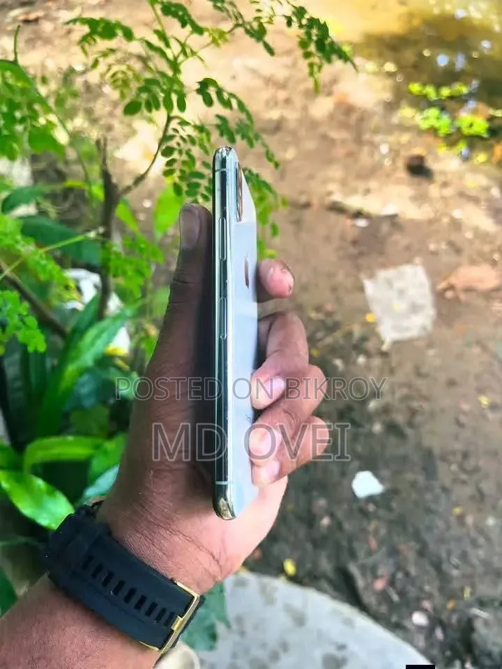অ্যাপল আইফোন এক্স ২৫৬ জিবি সিলভার