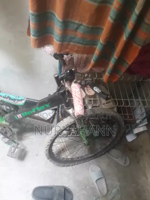 সাইকেল Cyle
