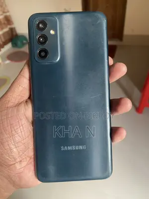 স্যামসাং গ্যালাক্সি এফ১৩ ৬৪ জিবি গ্রে