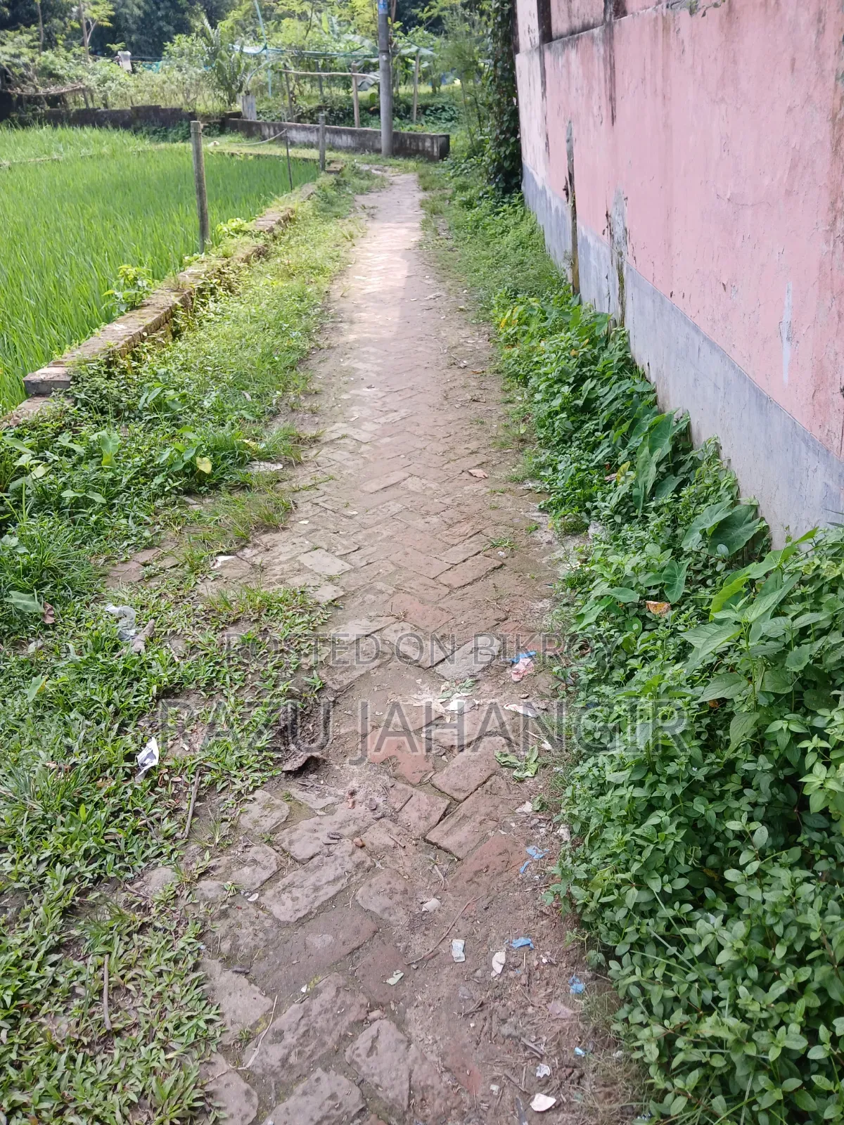 Buy land at a low price