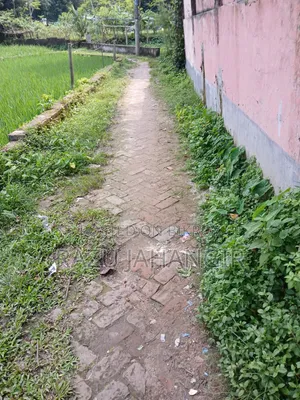Buy land at a low price