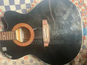 Indian Signature Guitar Model 265 WhatsApp