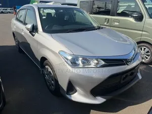 Toyota Axio 2021 Silver