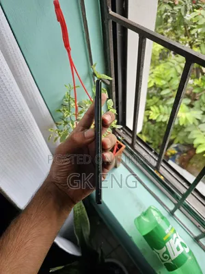 নিউ ভিভো এক্স৭০ প্রো ২৫৬ জিবি ব্ল্যাক