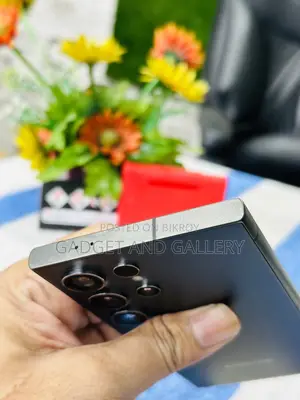 Samsung Galaxy S24 Ultra 256 GB Gray