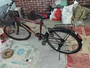 I Will Sell Two Cycle Combos at a Very Low Price