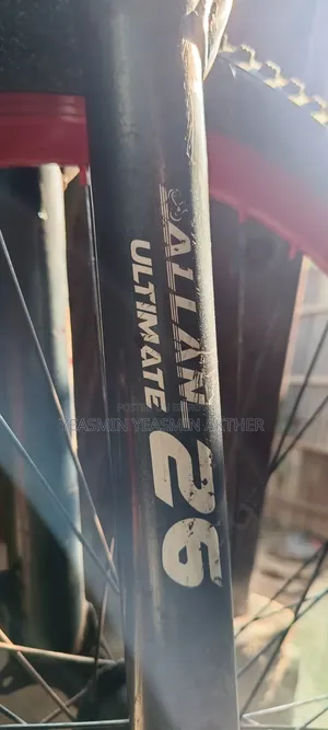 A Stunt Bicycle Will Be Sold