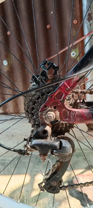 A Stunt Bicycle Will Be Sold