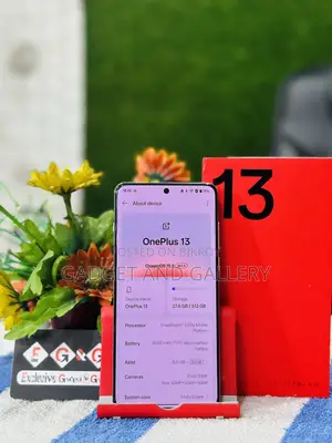 ওয়ানপ্লাস ১৩ ৫১২ জিবি ব্লু