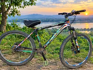 Used Bicycle