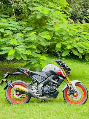 Yamaha MT-15 2021 White