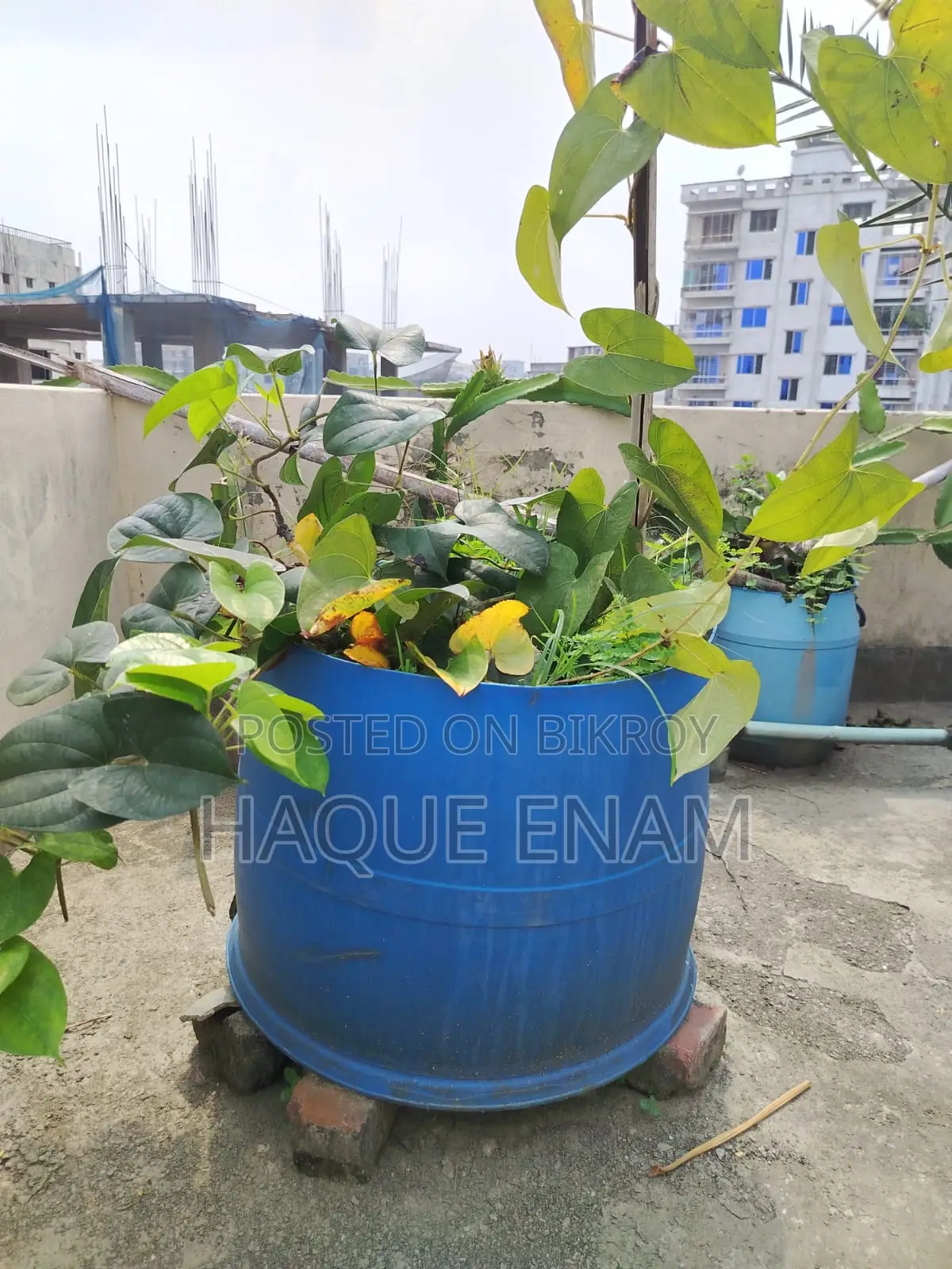 ৩টি বড় ও মজবুত গার্ডেনিং টব/প্লাস্টিক Tub বিক্রি হবে