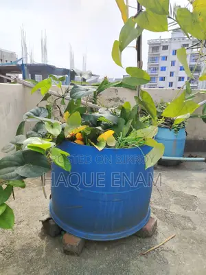 ৩টি বড় ও মজবুত গার্ডেনিং টব/প্লাস্টিক Tub বিক্রি হবে