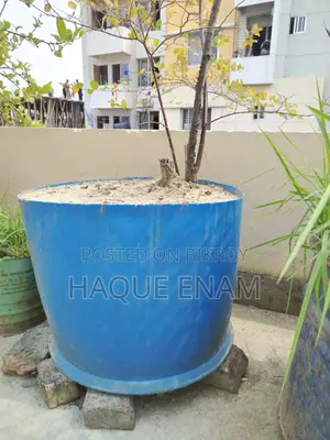 ৩টি বড় ও মজবুত গার্ডেনিং টব/প্লাস্টিক Tub বিক্রি হবে