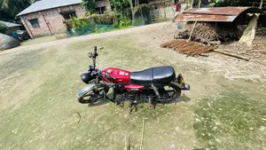 Dayun DY100-A 2019 Red