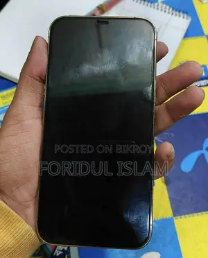 Apple iPhone 12 Pro Max 256 GB Gold