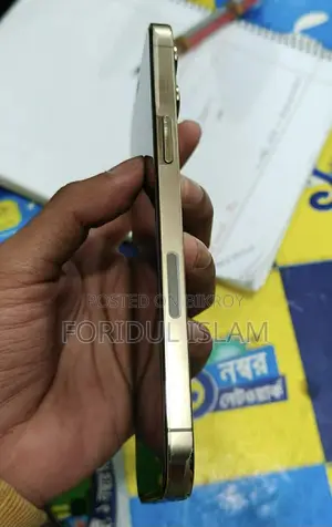 Apple iPhone 12 Pro Max 256 GB Gold