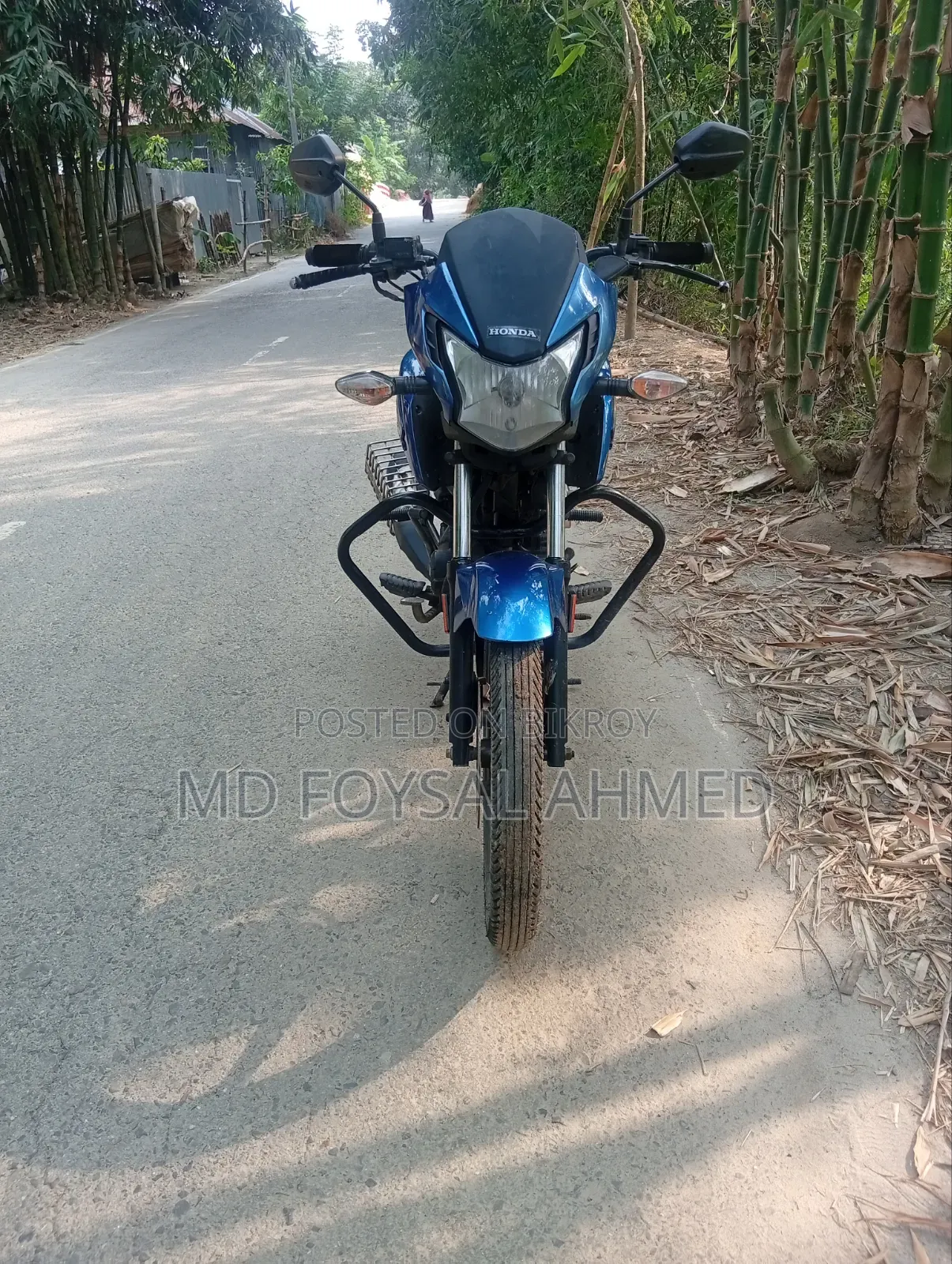 Honda Livo 2019 Blue