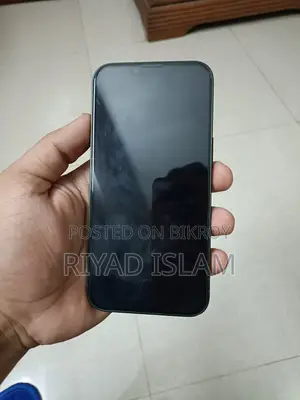 অ্যাপল আইফোন ১৩ ১২৮ জিবি সবুজ