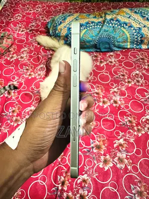 Apple iPhone 15 Plus 128 GB Green