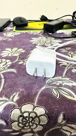 Apple 20W Original Charger
