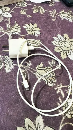 Apple 20W Original Charger
